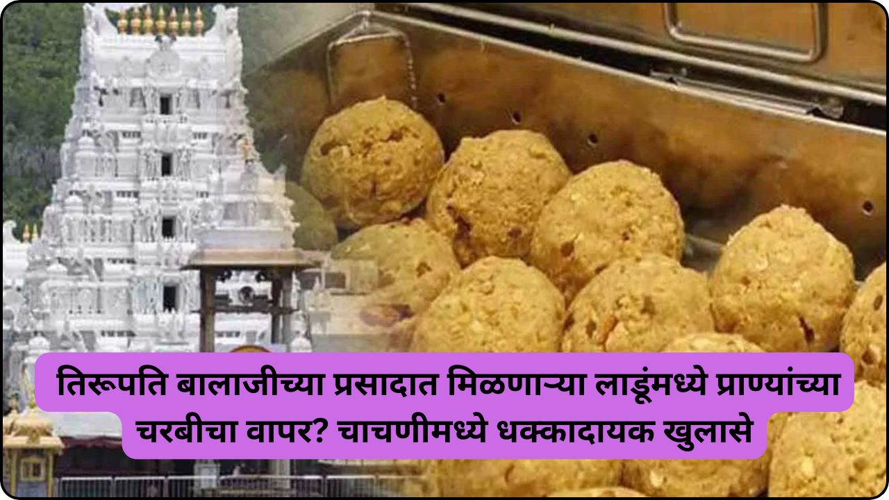 Tirumala Tirupati Laddu